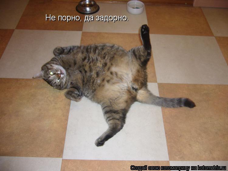 Hе порно, да задорно.... Котоматрица: Hе порно, да задорно.