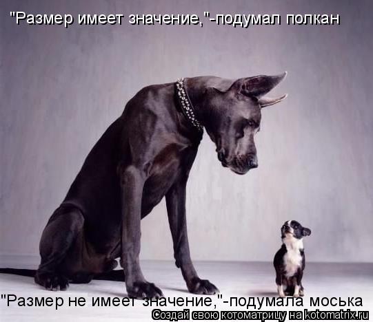 Котоматрица: "Размер имеет значение,"-подумал полкан "Размер не имеет значение,"-подумала моська