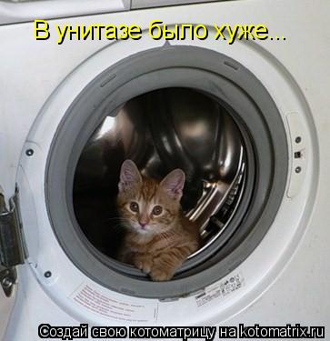 Котоматрица: В унитазе было хуже...