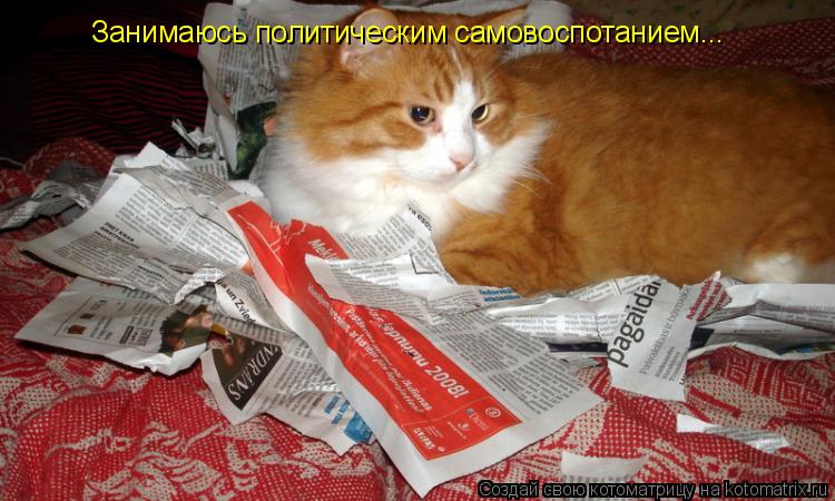 Занимаюсь политическим самовоспотанием...... Котоматрица: Занимаюсь политическим самовоспотанием...