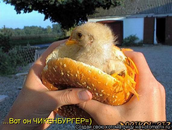 ...Вот он ЧИКЕНБУРГЕР=)... Котоматрица: ...Вот он ЧИКЕНБУРГЕР=)