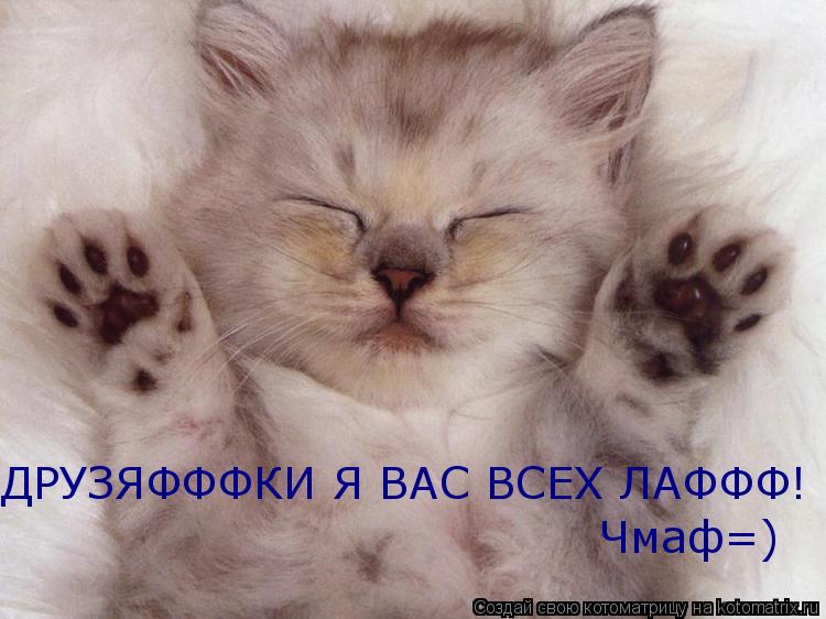 Котоматрица: ДРУЗЯФФФКИ Я ВАС ВСЕХ ЛАФФФ! Чмаф=)
