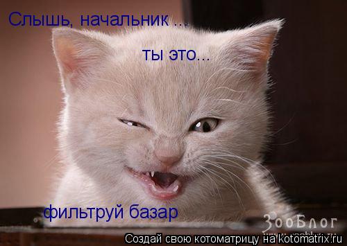 Слышь, начальник ... ты это... фильтруй базар... Котоматрица: Слышь, начальник ... ты это... фильтруй базар