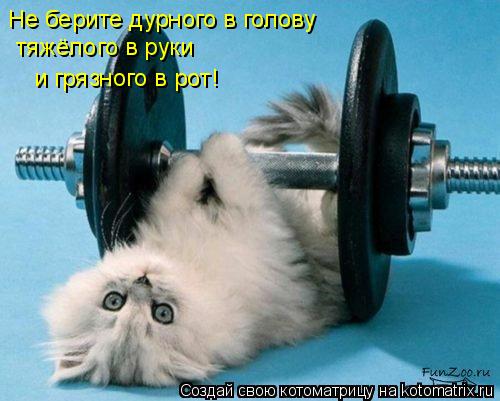 Не берите дурного в голову тяжёлого в руки и грязного в рот!... Котоматрица: Не берите дурного в голову тяжёлого в руки и грязного в рот!
