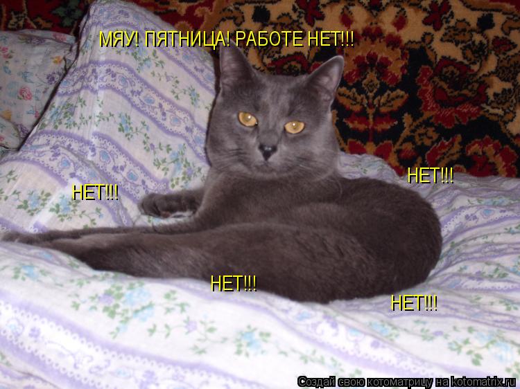 Котоматрица: МЯУ! ПЯТНИЦА! РАБОТЕ НЕТ!!! НЕТ!!! НЕТ!!! НЕТ!!! НЕТ!!!