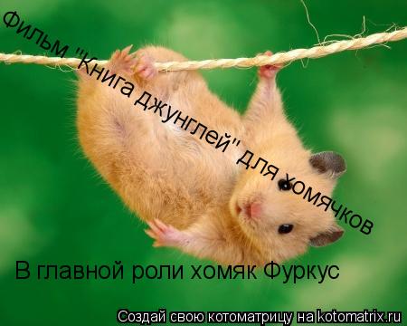 Фильм "Книга джунглей" для хомячков В главной роли хомяк Фуркус... Котоматрица: Фильм "Книга джунглей" для хомячков В главной роли хомяк Фуркус