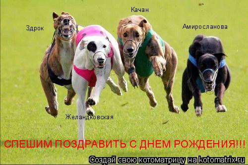 Желандковская Качан Здрок Амиросланова СПЕШИМ ПОЗДРАВИТЬ С ДНЕМ РОЖДЕНИЯ!!!... Котоматрица: Желандковская Качан Здрок Амиросланова СПЕШИМ ПОЗДРАВИТЬ С ДНЕМ РОЖДЕНИЯ!!!