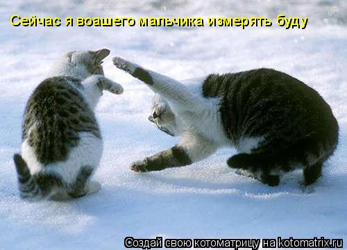 Котоматрица: Сейчас я воашего мальчика измерять буду