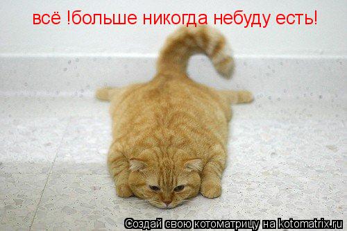 всё !больше никогда небуду есть!... Котоматрица: всё !больше никогда небуду есть!