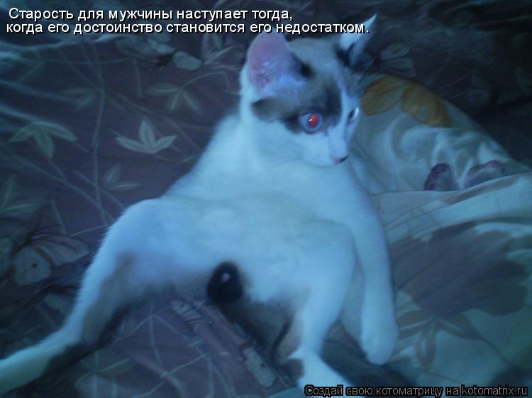 Котоматрица: Старость для мужчины наступает тогда,  когда его достоинство становится его недостатком.