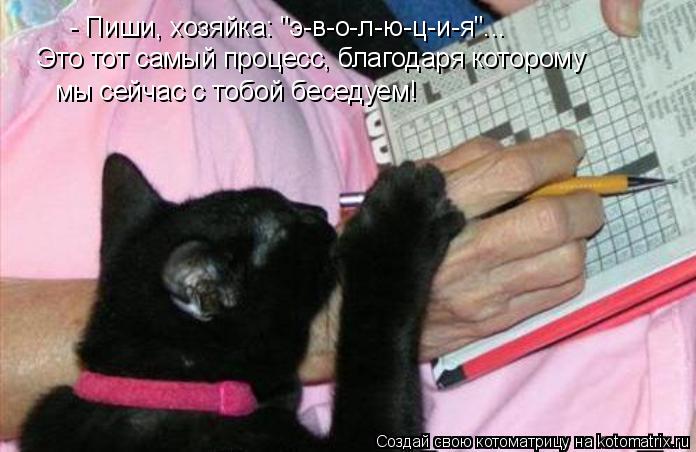 Котоматрица: - Пиши, хозяйка: "э-в-о-л-ю-ц-и-я"... Это тот самый процесс, благодаря которому мы сейчас с тобой беседуем!