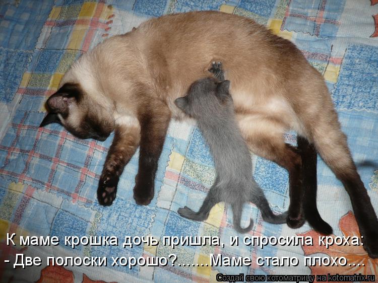 К маме крошка дочь пришла, и спросила кроха: - Две полоски хорошо?.......Маме стало плохо....... Котоматрица: К маме крошка дочь пришла, и спросила кроха: - Две полоски хорошо?.......Маме стало плохо....