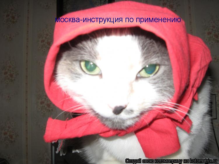 Котоматрица: москва-инструкция по применению