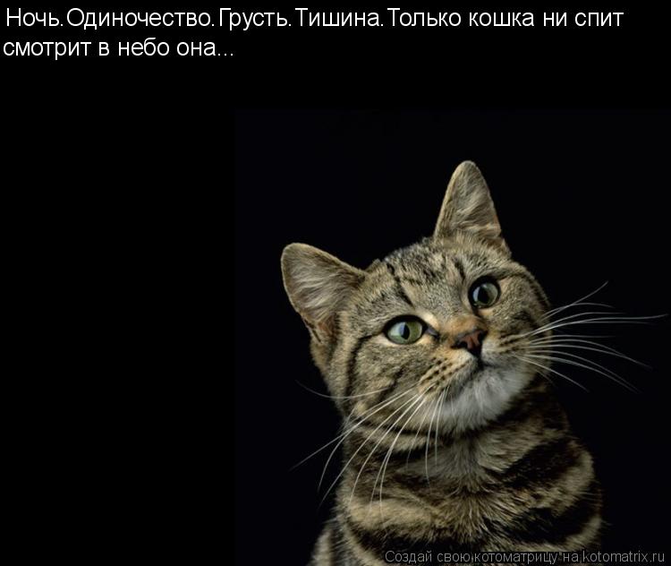 Котоматрица: Ночь.Одиночество.Грусть.Тишина.Только кошка ни спит смотрит в небо она...
