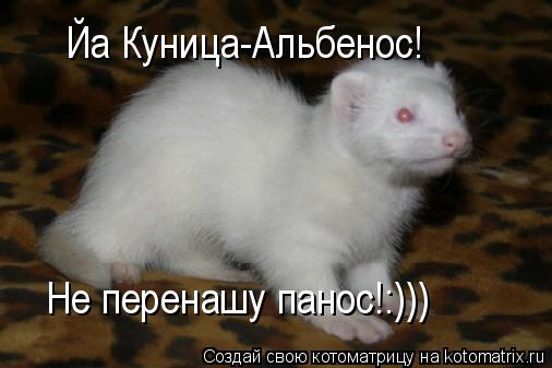Котоматрица: Йа Куница-Альбенос! Не перенашу панос!:)))