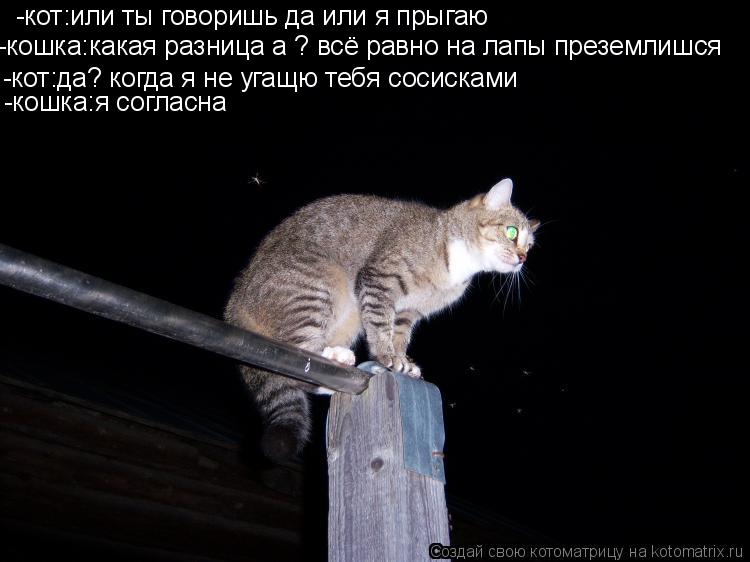 -кот:или ты говоришь да или я прыгаю -кошка:какая разница а ? всё равно на лапы преземлишся -кот:да? ... Котоматрица: -кот:или ты говоришь да или я прыгаю -кошка:какая разница а ? всё равно на лапы преземлишся -кот:да? когда я не угащю тебя сосисками -кошка:я со