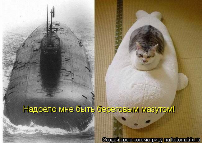 Надоело мне быть береговым мазутом!... Котоматрица: Надоело мне быть береговым мазутом!