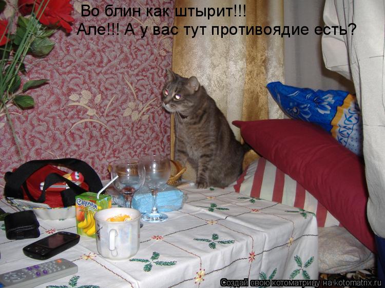 Котоматрица: Во блин как штырит!!! Але!!! А у вас тут противоядие есть?