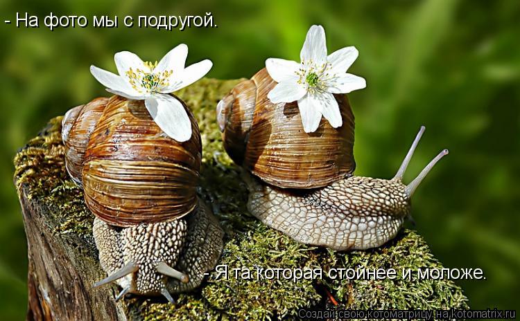 - На фото мы с подругой. - Я та которая стойнее и моложе.... Котоматрица: - На фото мы с подругой. - Я та которая стойнее и моложе.