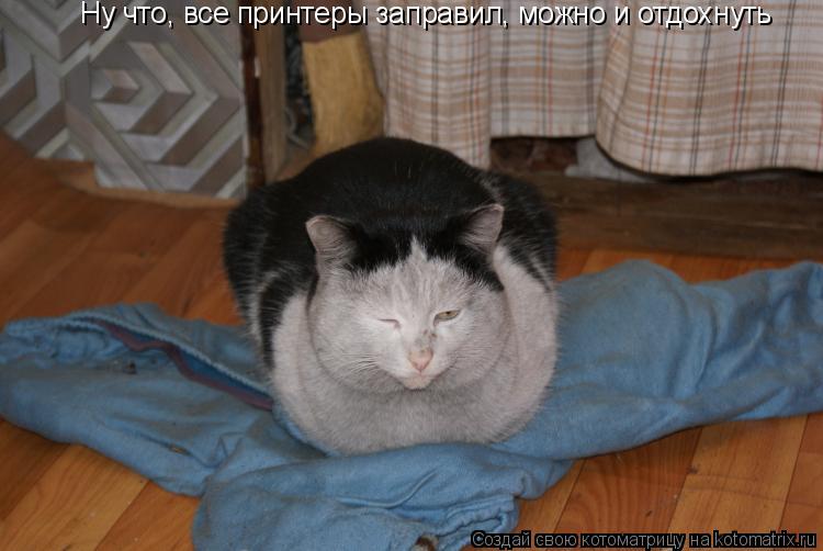 Котоматрица: Ну что, все принтеры заправил, можно и отдохнуть