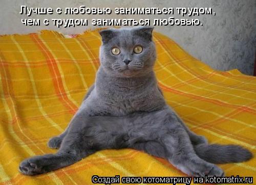 Лучше с любовью заниматься трудом, чем с трудом заниматься любовью.... Котоматрица: Лучше с любовью заниматься трудом, чем с трудом заниматься любовью.