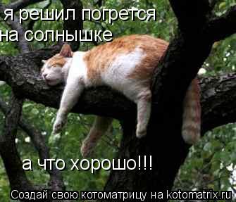 я решил погрется на солнышке а что хорошо!!!... Котоматрица: я решил погрется на солнышке а что хорошо!!!