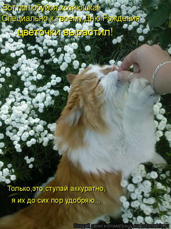 Котоматрица: Вот,полюбуйся,хозяюшка! Специально к твоему Дню Рождения цветочки вырастил! Только,это,ступай аккуратно, я их до сих пор удобряю...