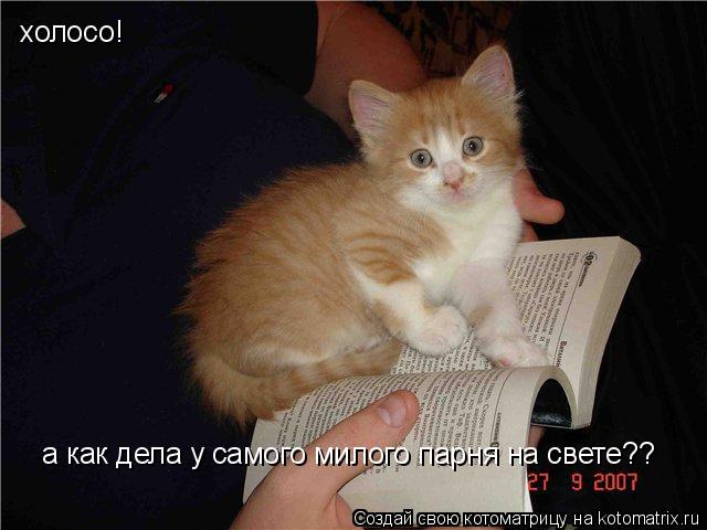 Котоматрица: холосо! а как дела у самого милого парня на свете??