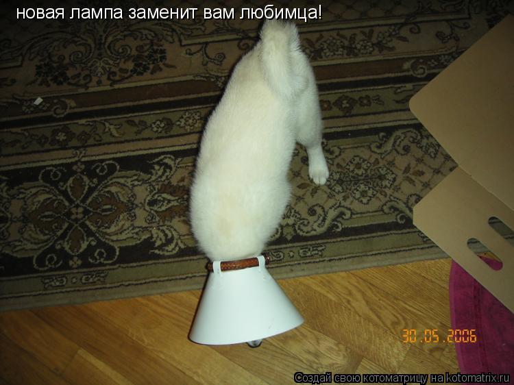 Котоматрица: новая лампа заменит вам любимца!