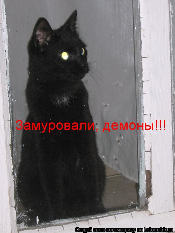 Котоматрица: Замуровали, демоны!!!