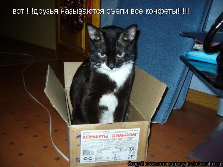 вот !!!друзья называются съели все конфеты!!!!!... Котоматрица: вот !!!друзья называются съели все конфеты!!!!!