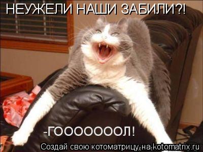 НЕУЖЕЛИ НАШИ ЗАБИЛИ?!... Котоматрица: НЕУЖЕЛИ НАШИ ЗАБИЛИ?!