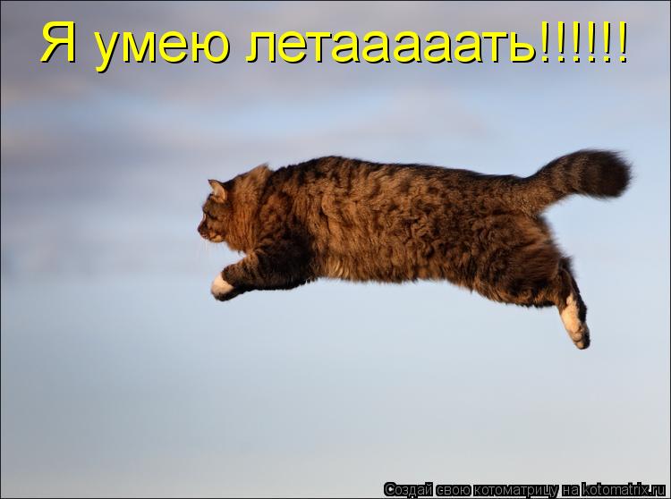 Котоматрица: Я умею летааааать!!!!!!