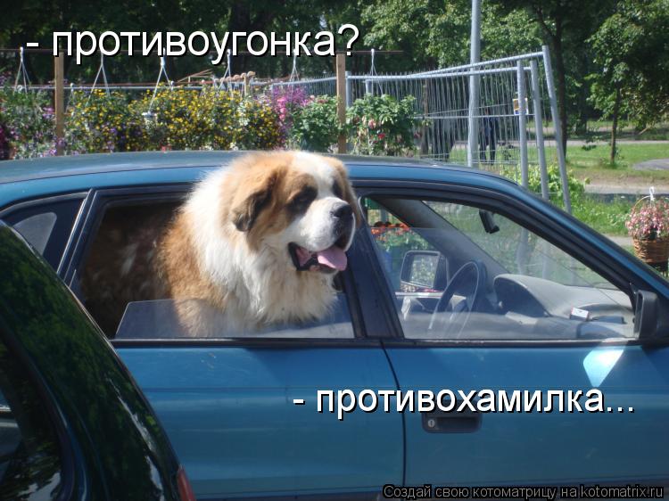 - противоугонка? - противохамилка... - противохамилка...... Котоматрица: - противоугонка? - противохамилка... - противохамилка...