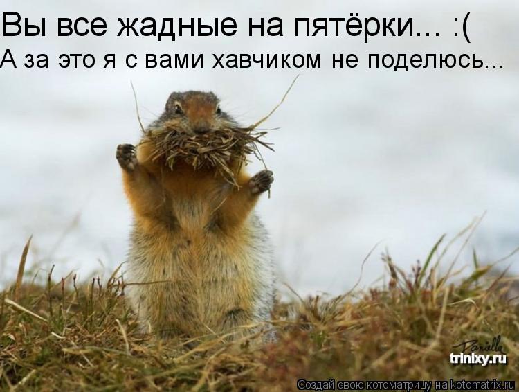 Вы все жадные на пятёрки... :( А за это я с вами хавчиком не поделюсь...... Котоматрица: Вы все жадные на пятёрки... :( А за это я с вами хавчиком не поделюсь...