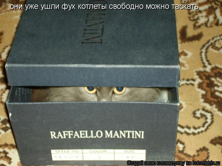 они уже ушли фух котлеты свободно можно таскать... Котоматрица: они уже ушли фух котлеты свободно можно таскать