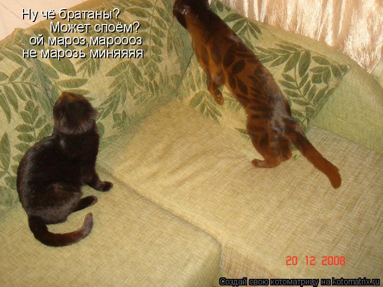 Ну чё братаны? Может споём? ой мароз,мароооз не марозь миняяяя... Котоматрица: Ну чё братаны? Может споём? ой мароз,мароооз не марозь миняяяя