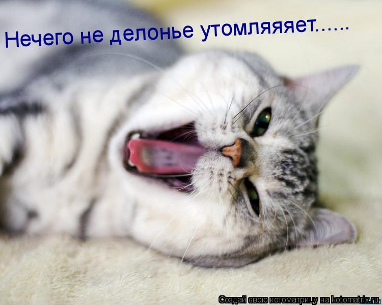 Нечего не делонье утомляяяет......... Котоматрица: Нечего не делонье утомляяяет......