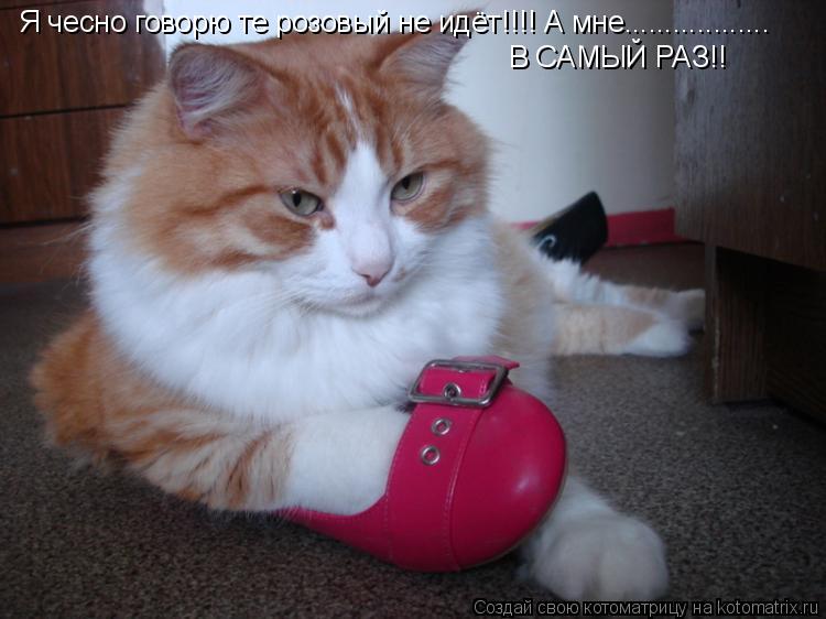 Я чесно говорю те розовый не идёт!!!! А мне.................. В САМЫЙ РАЗ!!... Котоматрица: Я чесно говорю те розовый не идёт!!!! А мне.................. В САМЫЙ РАЗ!!