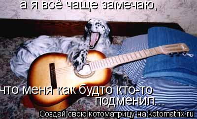 Котоматрица: а я всё чаще замечаю, что меня как будто кто-то подменил...