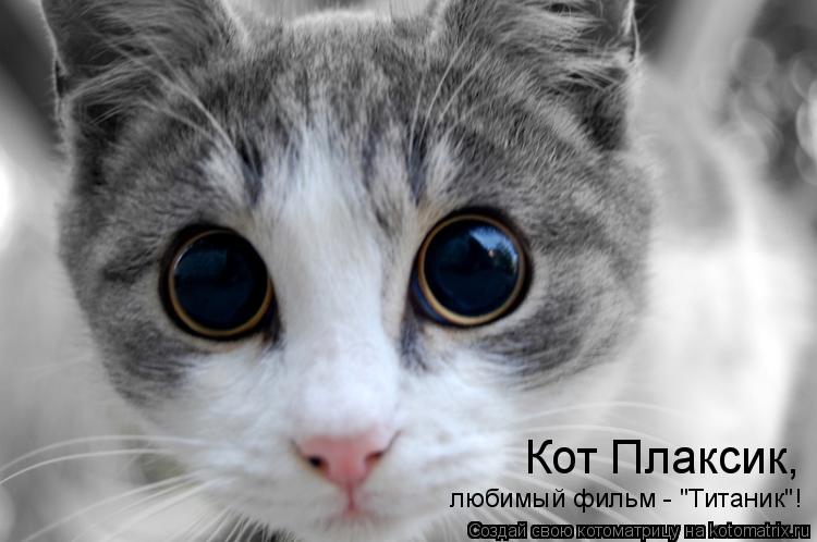 Кот Плаксик, любимый фильм - "Титаник"!... Котоматрица: Кот Плаксик, любимый фильм - "Титаник"!