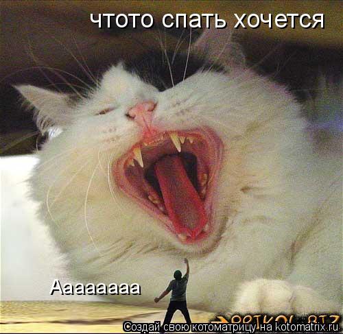 Котоматрица: чтото спать хочется Аааааааа