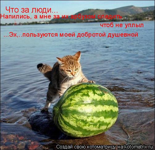 Котоматрица: Что за люди... ...Эх,..пользуются моей добротой душевной Напились, а мне за их арбузом следить чтоб не уплыл