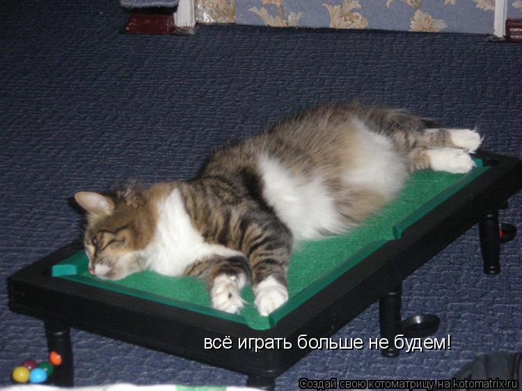 Котоматрица: всё играть больше не будем!