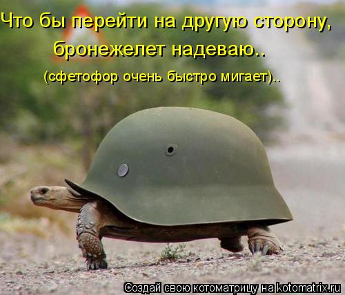 Котоматрица: Что бы перейти на другую сторону, бронежелет надеваю.. (сфетофор очень быстро мигает)..