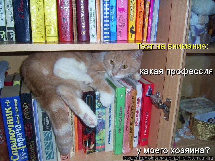 Котоматрица: какая профессия  у моего хозяина?  Тест на внимание: