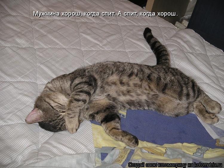 Мужчина хорош, когда спит. А спит, когда хорош.... Котоматрица: Мужчина хорош, когда спит. А спит, когда хорош.