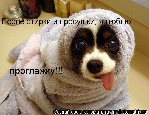 Котоматрица: После стирки и просушки, я люблю  проглажку!!!