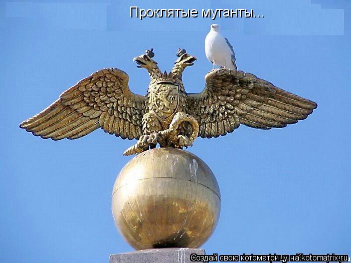 Котоматрица: Проклятые мутанты...
