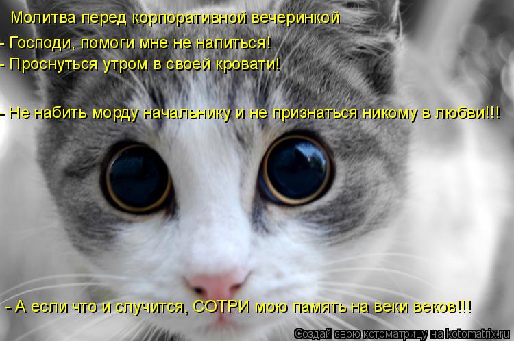 Котоматрица: Молитва перед корпоративной вечеринкой - Господи, помоги мне не напиться! - Проснуться утром в своей кровати! - Не набить морду начальнику и 